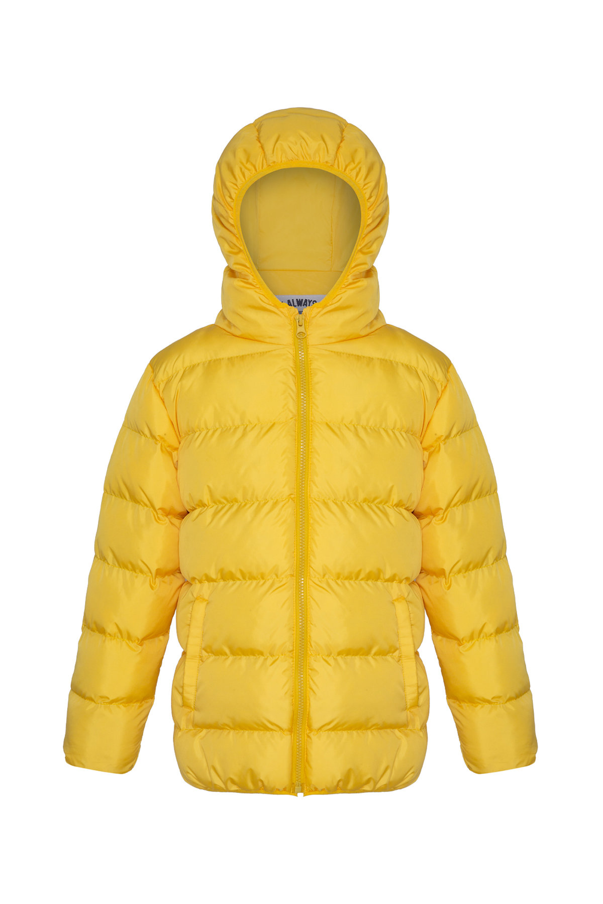 Orta Boy Sarı Şişme Mont