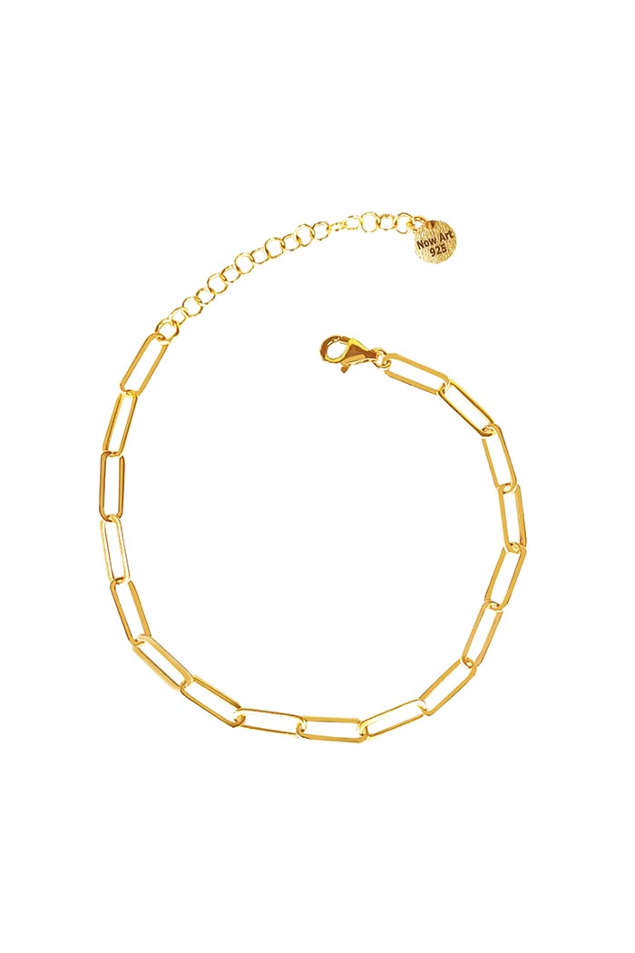 Charm Zincir Bileklik