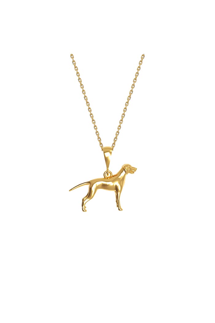 Köpekli Altın Renk Kolye