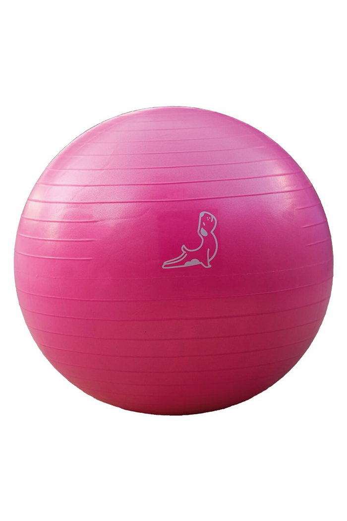 65 cm Pembe Egzersiz Topu