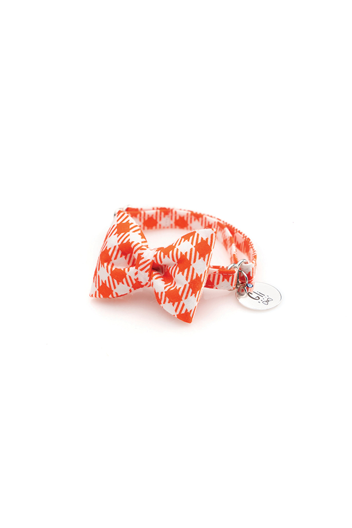 Naranja Kedi Tasması