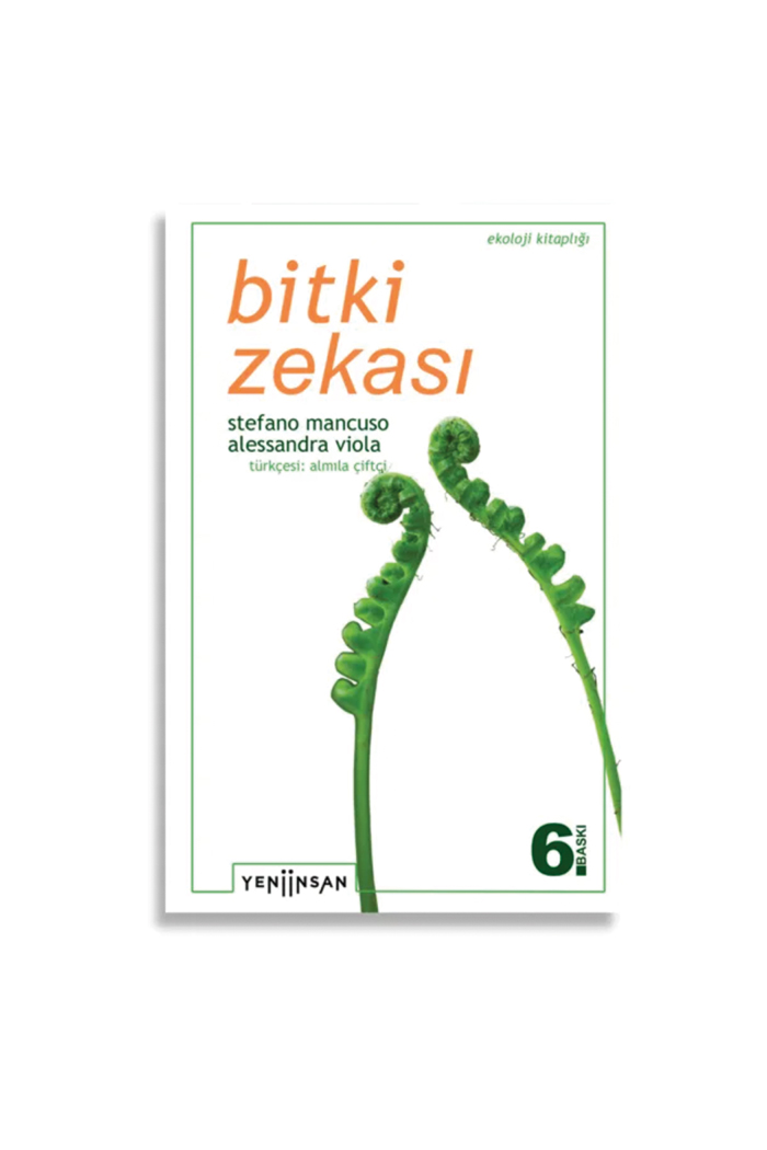 Bitki Zekası
