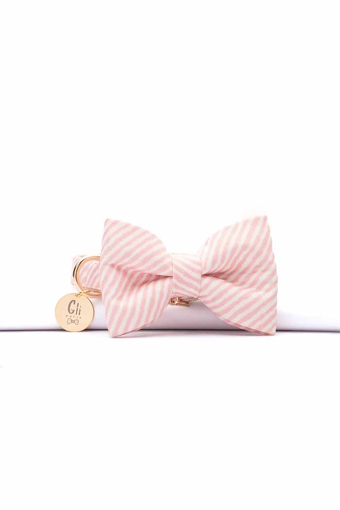 Segovia Papyonlu Tasma