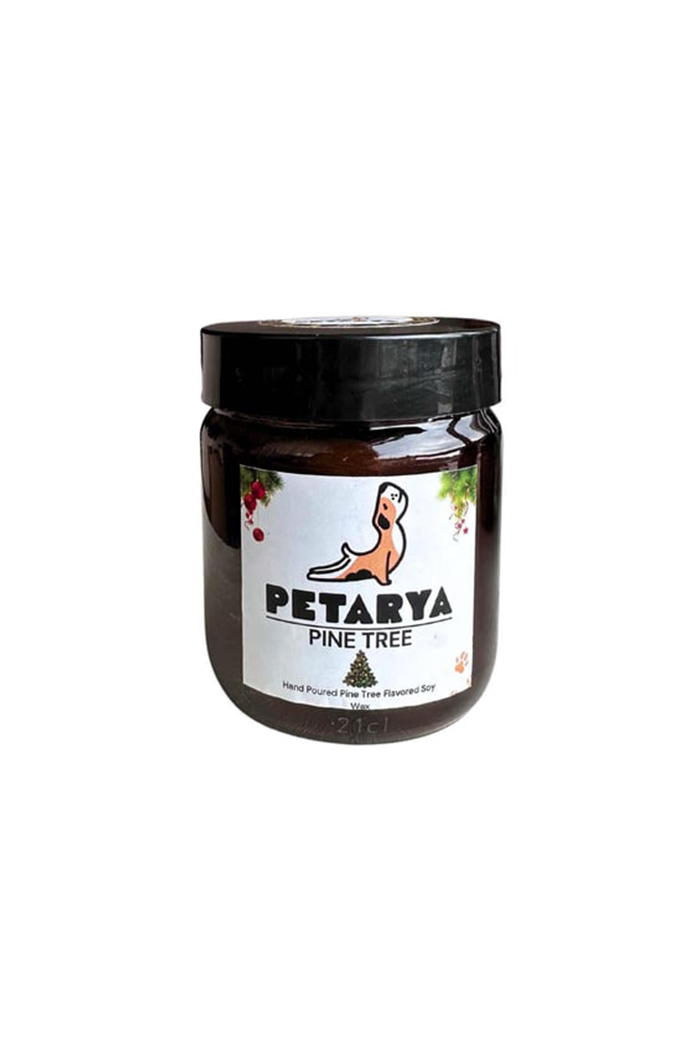 Doğal Çam Ağacı Esanslı Vegan Soya Mumu