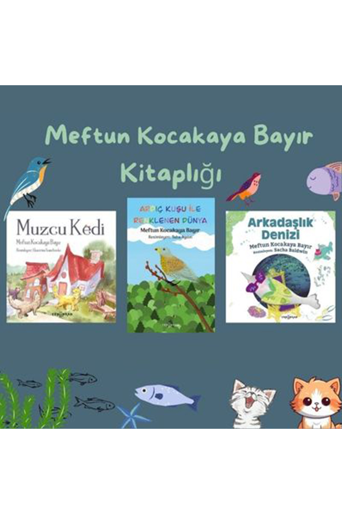 Meftun Kocakaya Bayır Kitaplığı