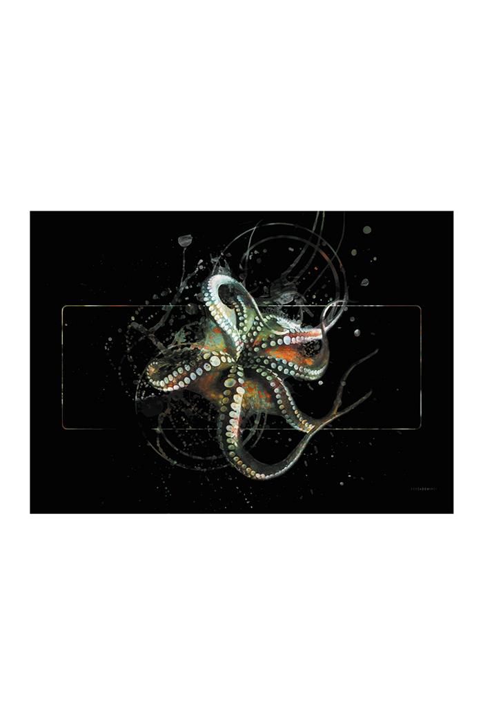 Renkli Ahtapot 70x50 cm (Çerçevesiz)