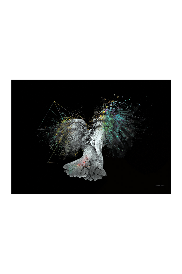 Kırılan Papağan 50x70 cm (Çerçevesiz)