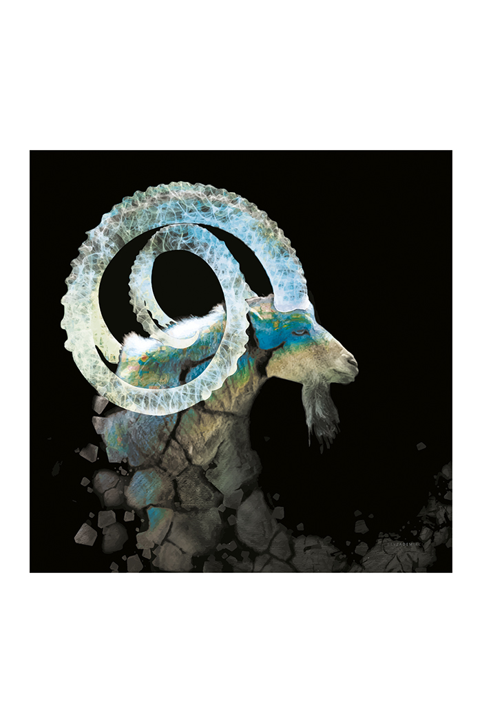 Keçi Boynuzu 70x70 cm (Çerçevesiz)