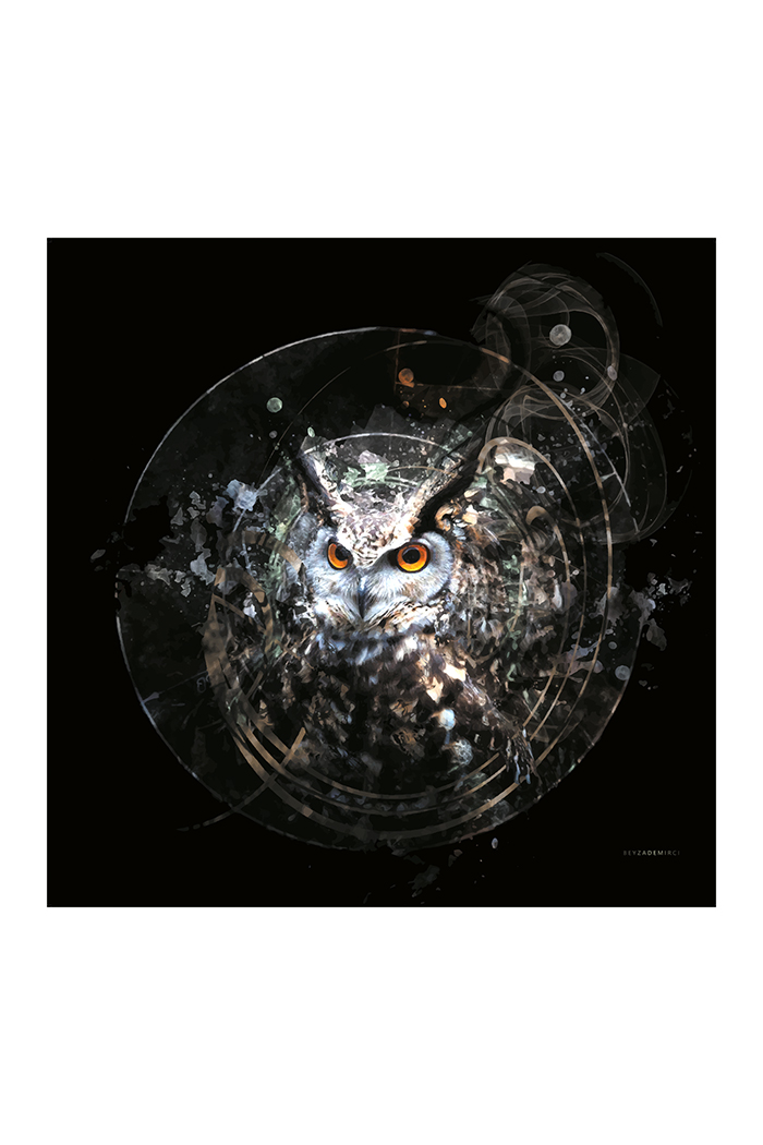 Dağılan Baykuş 70x70 cm (Çerçevesiz)