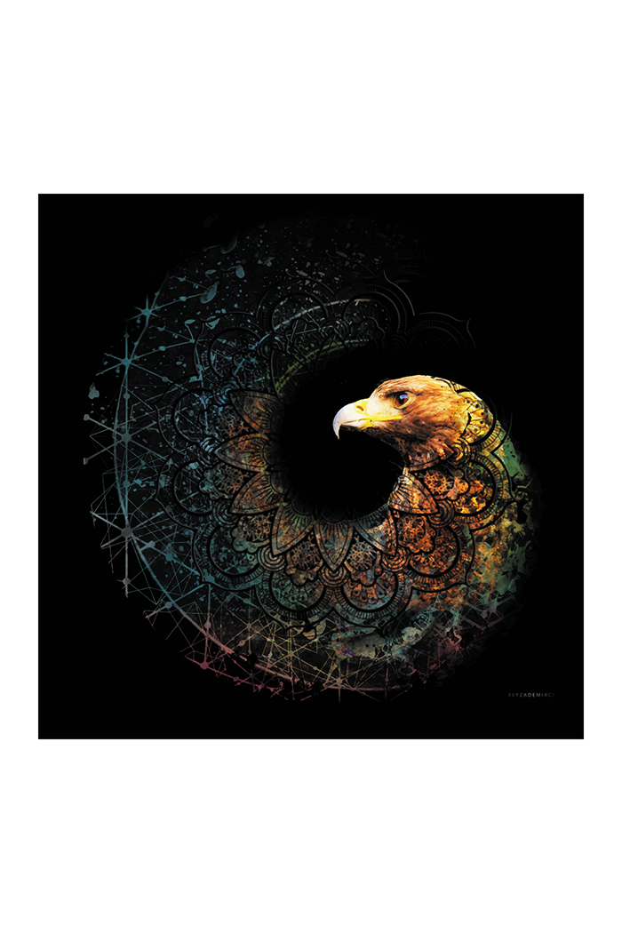 Dönüşen Şahin 70x70 cm (Çerçevesiz)