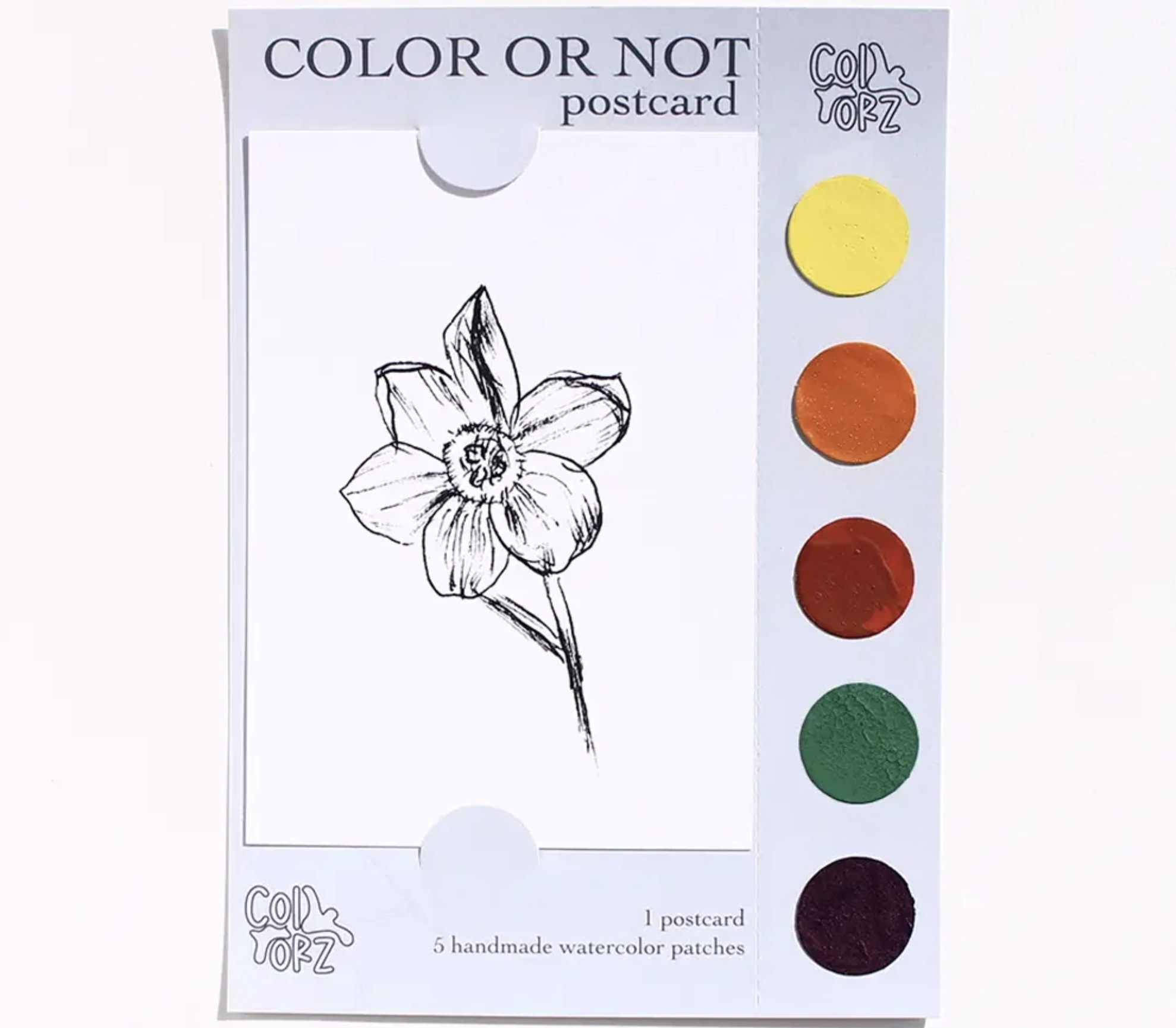 COLOR OR NOT KARTPOSTAL – Papatya (Çiçek Serisi)