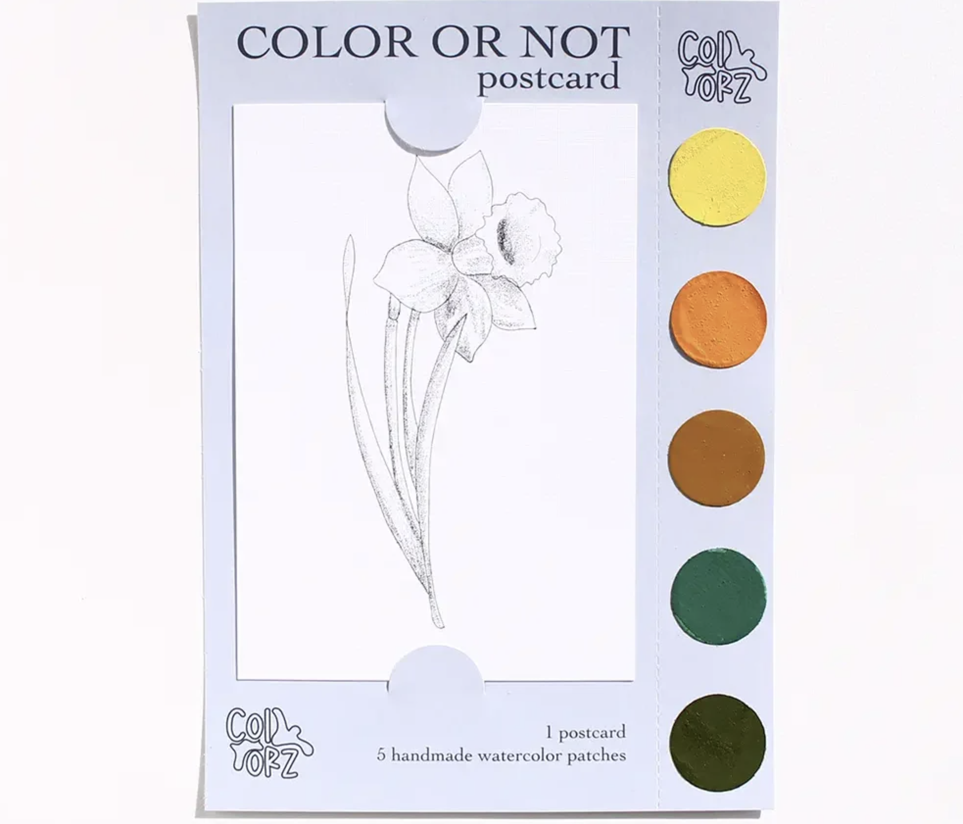 COLOR OR NOT KARTPOSTAL – Nergis (Çiçek Serisi)