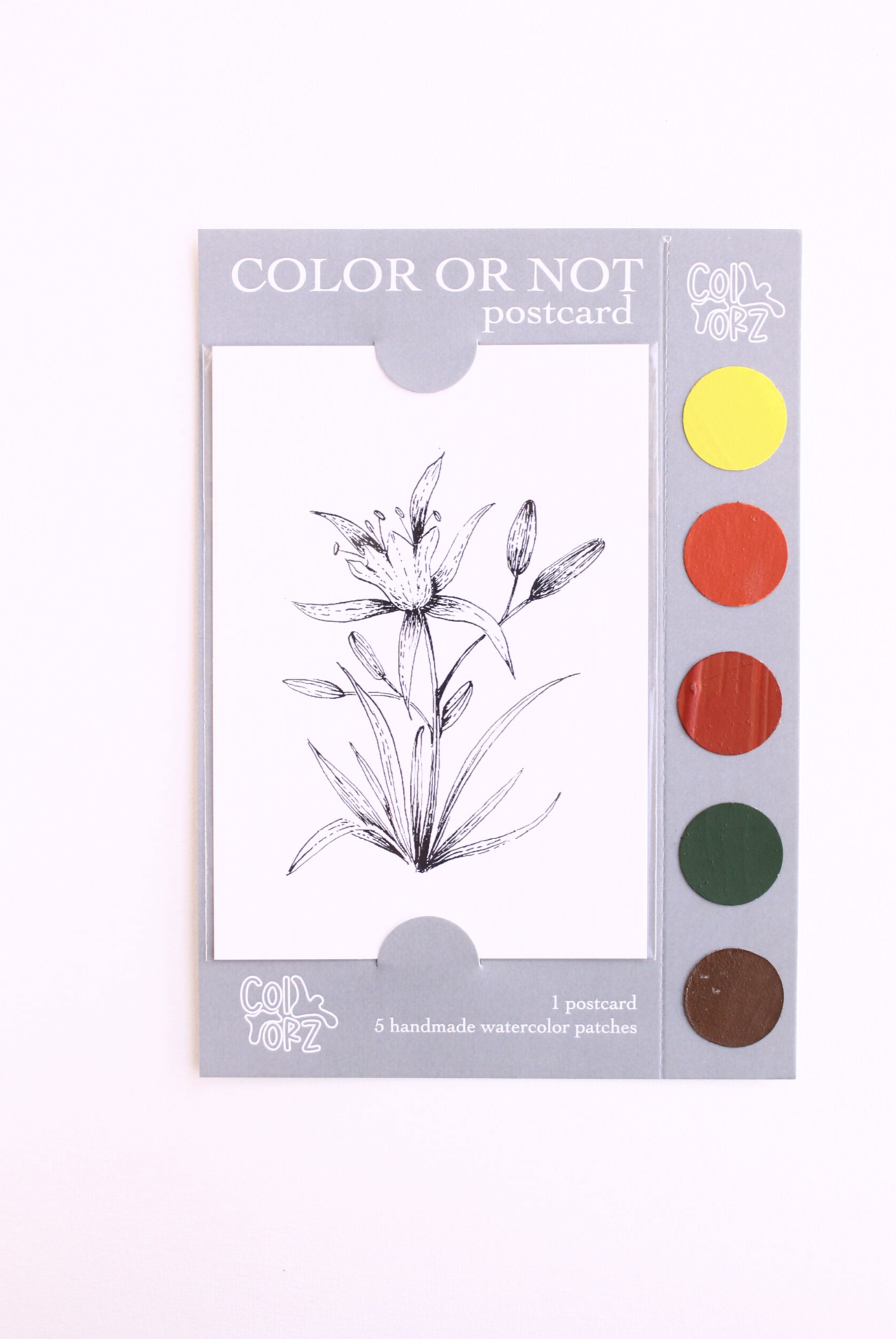 COLOR OR NOT KARTPOSTAL – Nergis