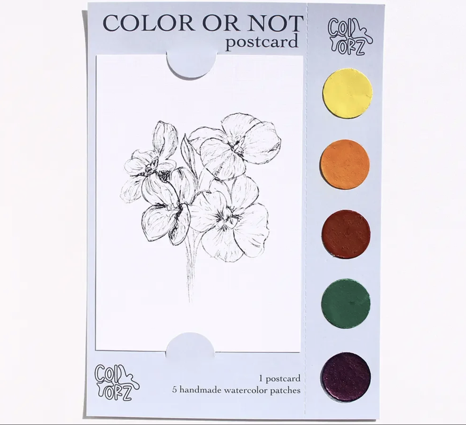 COLOR OR NOT KARTPOSTAL – Menekşe (Çiçek Serisi)