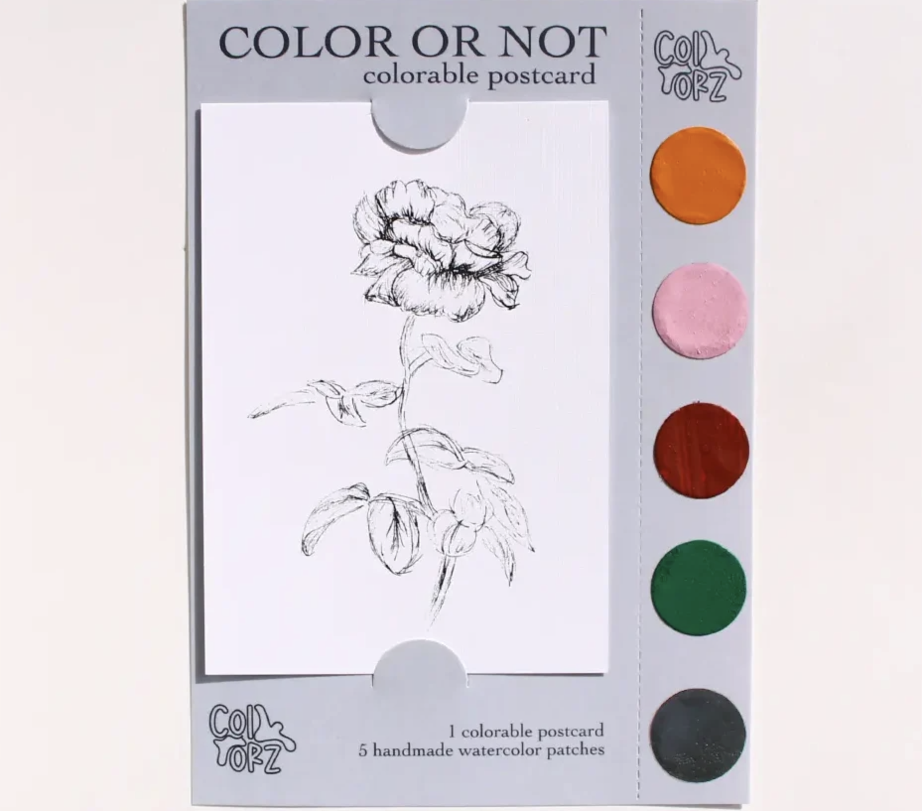 COLOR OR NOT KARTPOSTAL – Gül (Çiçek Serisi)