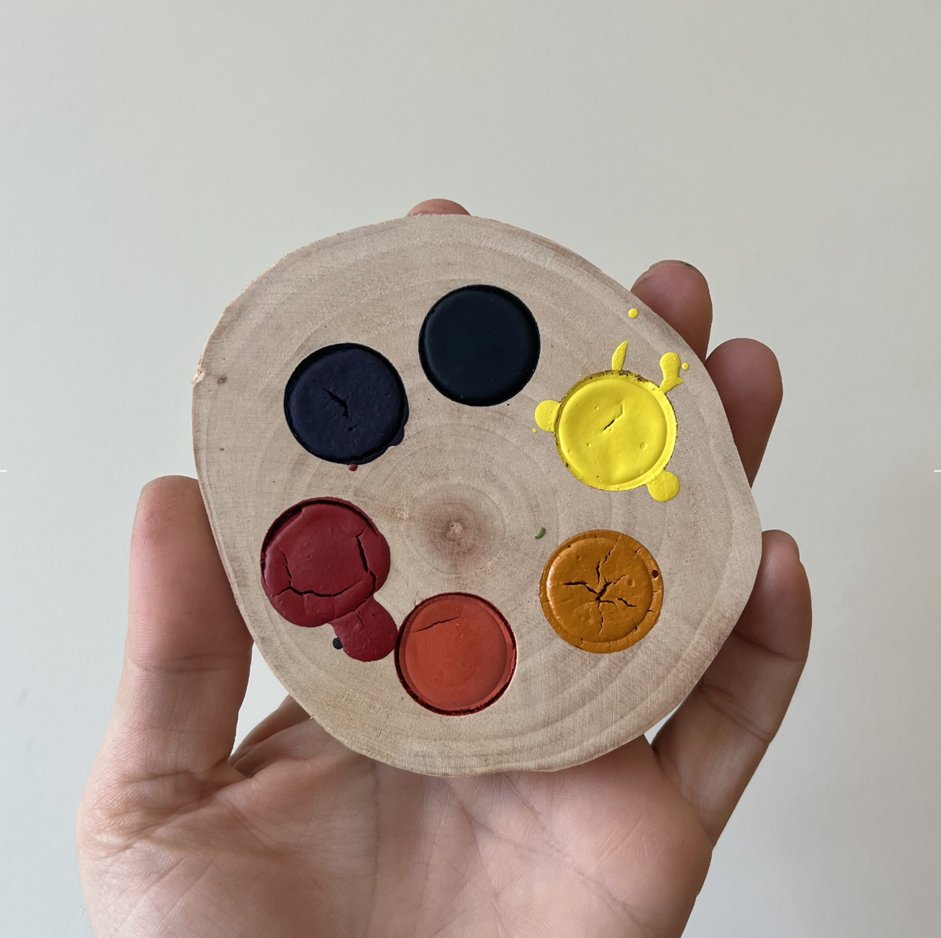 CANLI RENKLER AĞAÇ DİLİM SULUBOYA PALETİ