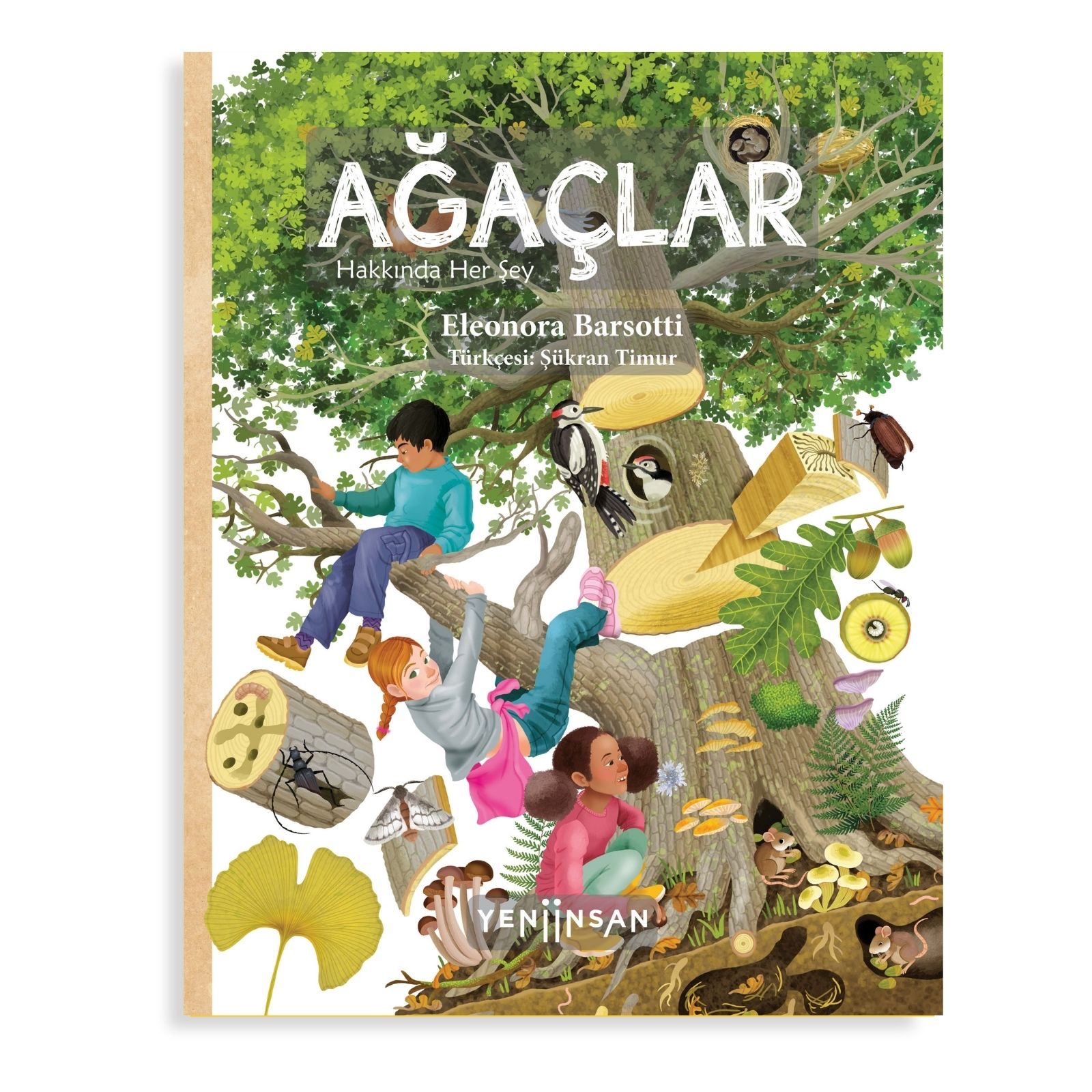 Ağaçlar Hakkında Her şey