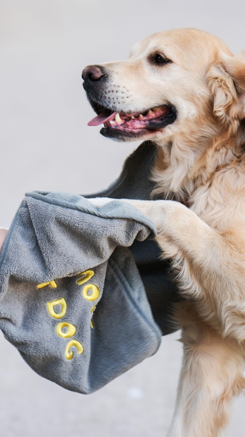 No More Wet Dog Gri Evcil Hayvan Kurulama Havlusu Küçük Boy 30x70 cm