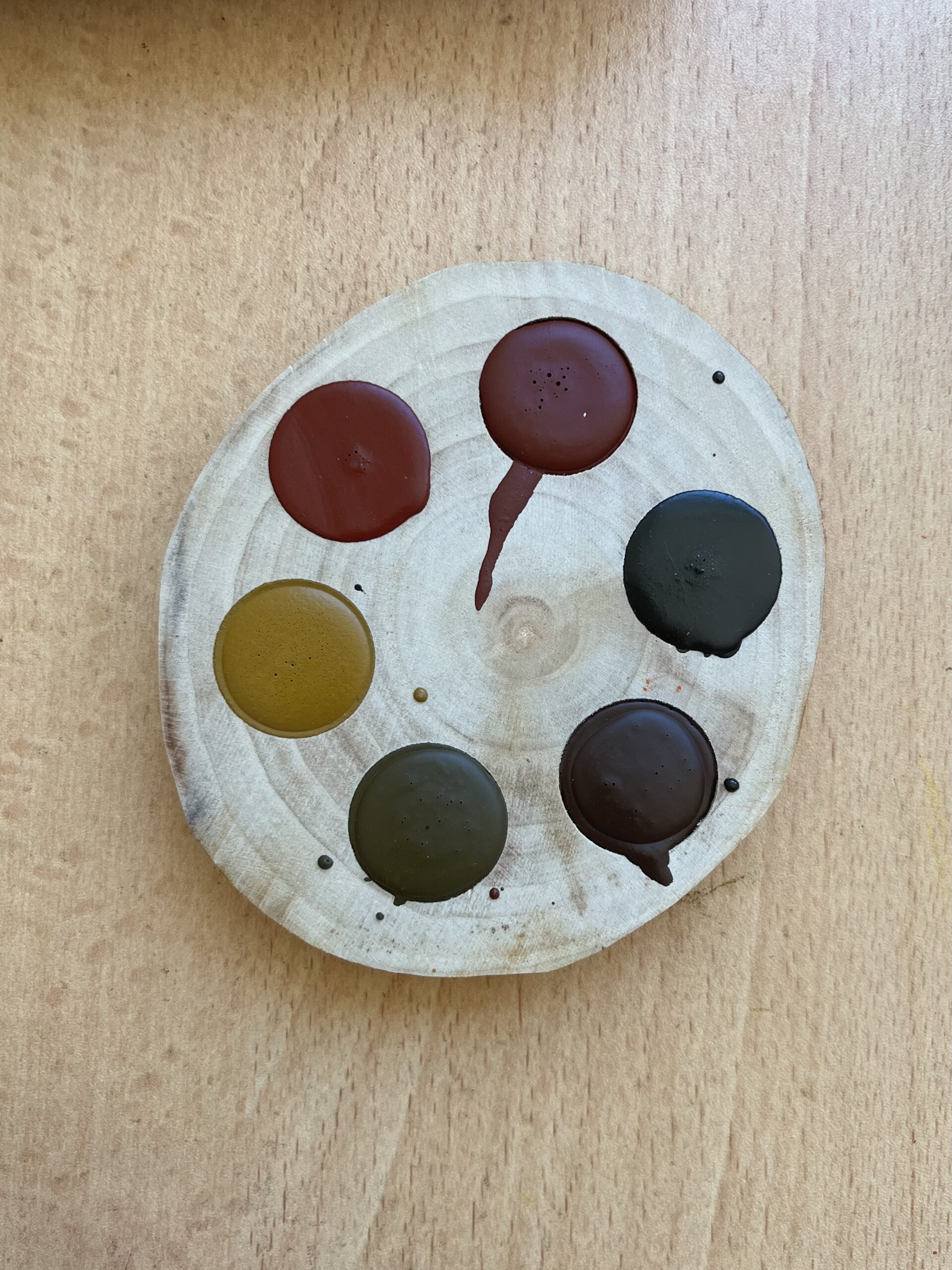 Taş Pigmentler Ağaç Dilimi Suluboya Seti