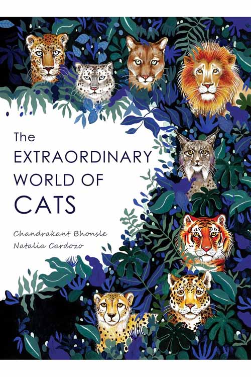 The Extraordinary World of Cats