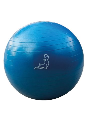 65 cm Mavi Egzersiz Topu
